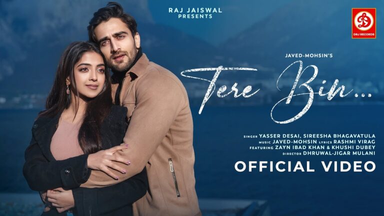 Tere Bin Lyrics Yasser Desai Official Song 2024